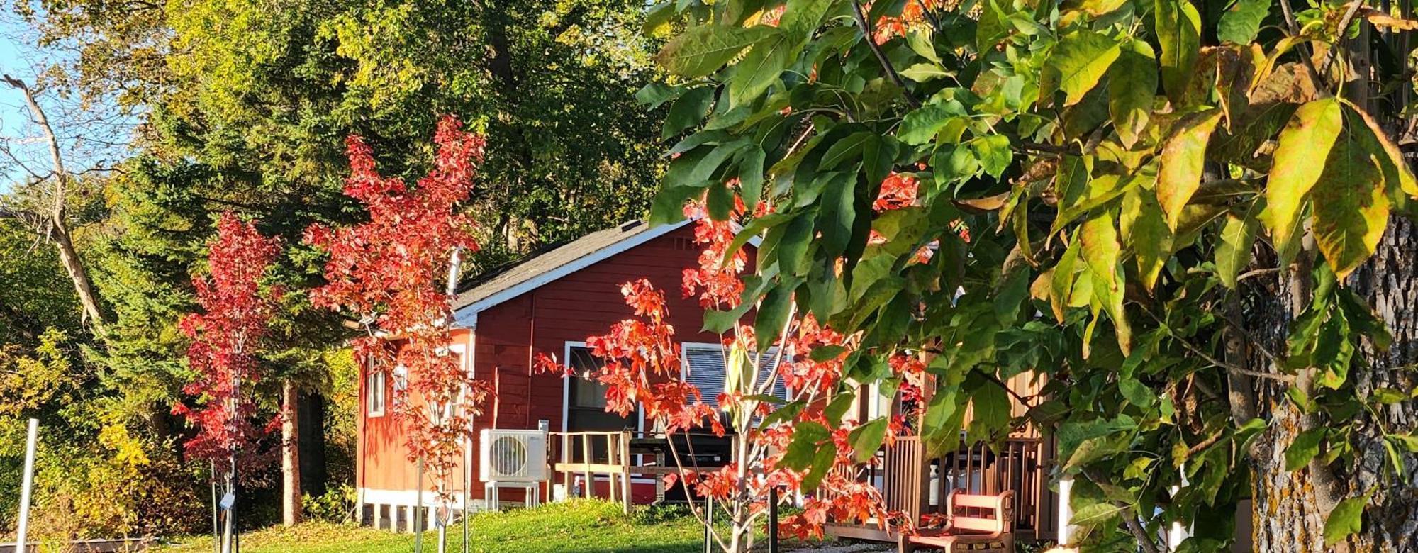 Trent River Cottages Hastings Exteriér fotografie